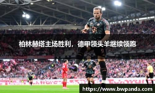 先锋娱乐APP