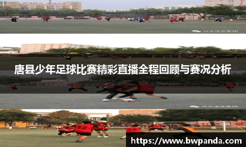 先锋2娱乐
