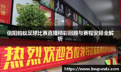 先锋娱乐官网