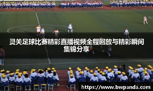 先锋娱乐