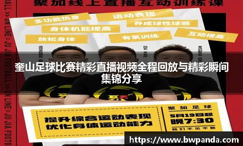 先锋2娱乐