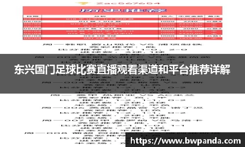 东兴国门足球比赛直播观看渠道和平台推荐详解